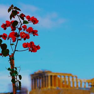 Absolute Athens Acropolis View